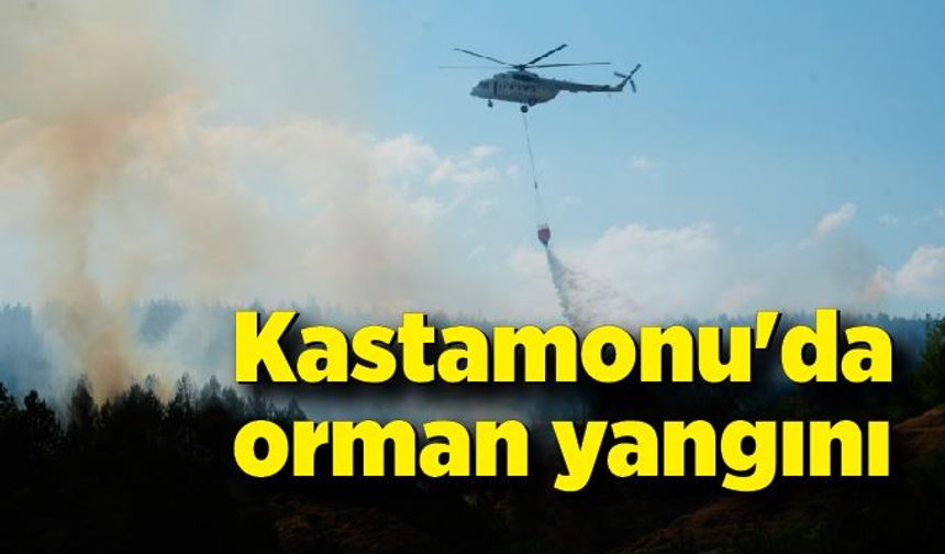 Kastamonu'daki orman yangınına havadan ve karadan müdahale sürüyor