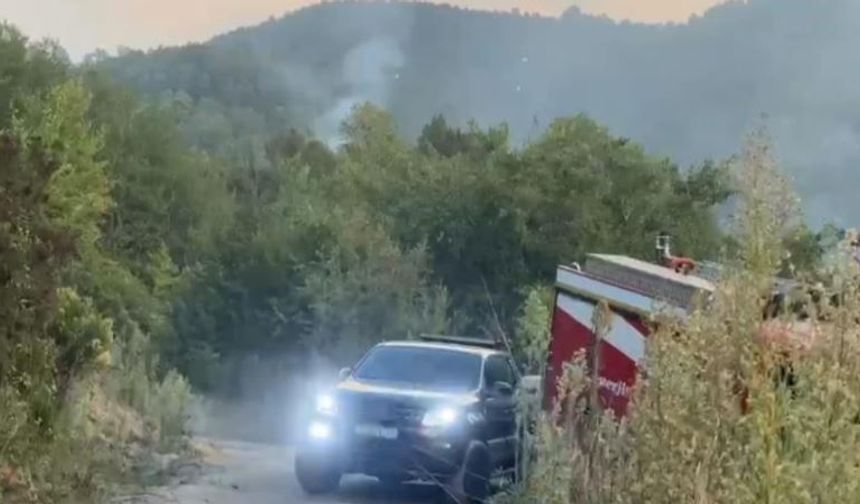 Kilimli'de ormanlık alanda çıkan yangın paniğe neden oldu