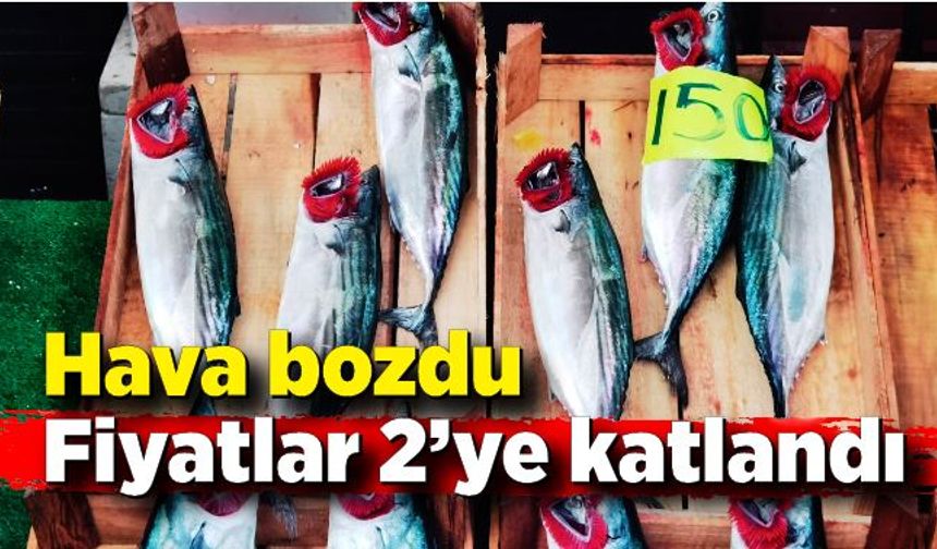 Hava bozdu palamutta fiyat arttı