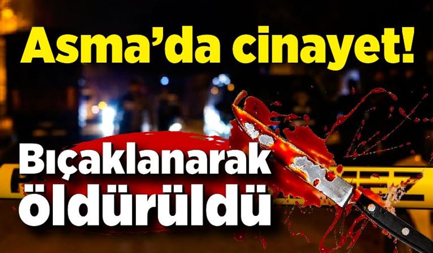 Asma’da cinayet: 1 kişi bıçaklanarak öldürüldü