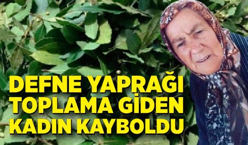 Zonguldak'ta yaşlı kadın ormanda kayboldu