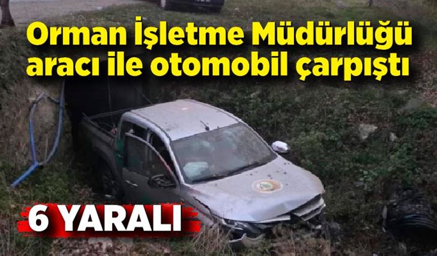 Orman İşletme Müdürlüğü aracı ile otomobil çarpıştı: 6 yaralı