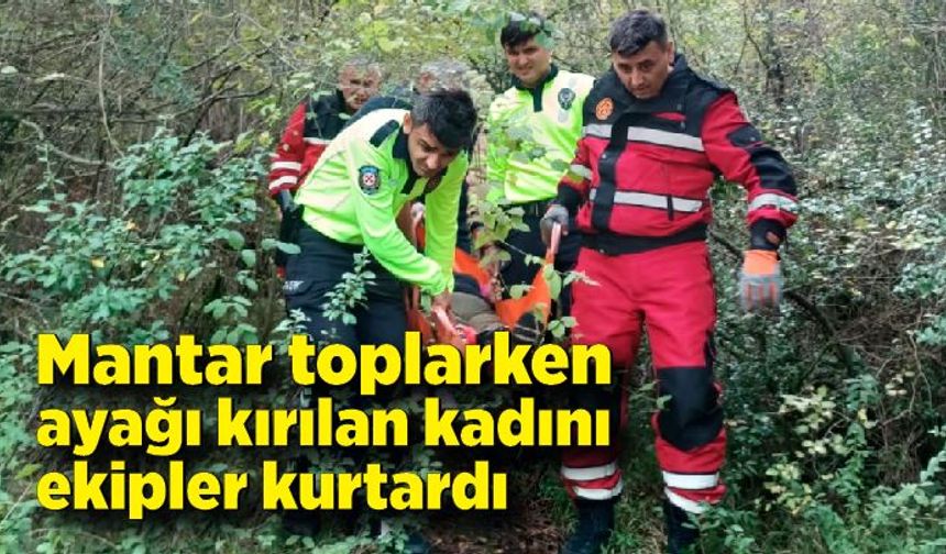 Mantar toplarken ayağı kırılan kadını ekipler kurtardı