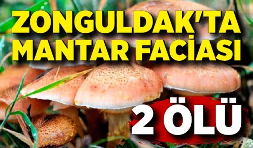 Zonguldak'ta mantar faciası; 2 ölü, 1 kişi yoğun bakımda