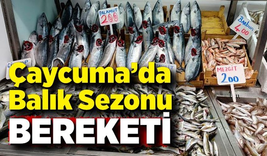 Çaycuma’da Balık Sezonu Bereketi: Tezgahlar Dolup Taşıyor