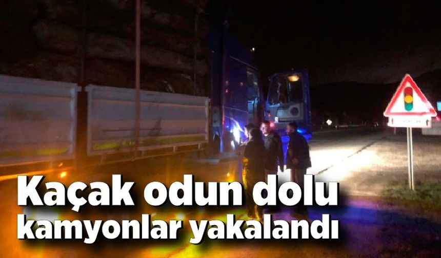 Bolu’da kaçak odun dolu kamyonlar yakalandı