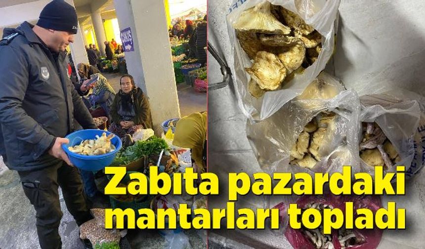 Zabıta pazardaki mantarları topladı