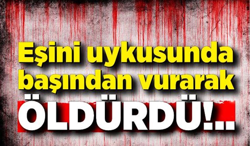 Eşini uykusunda başından vurarak öldürdü