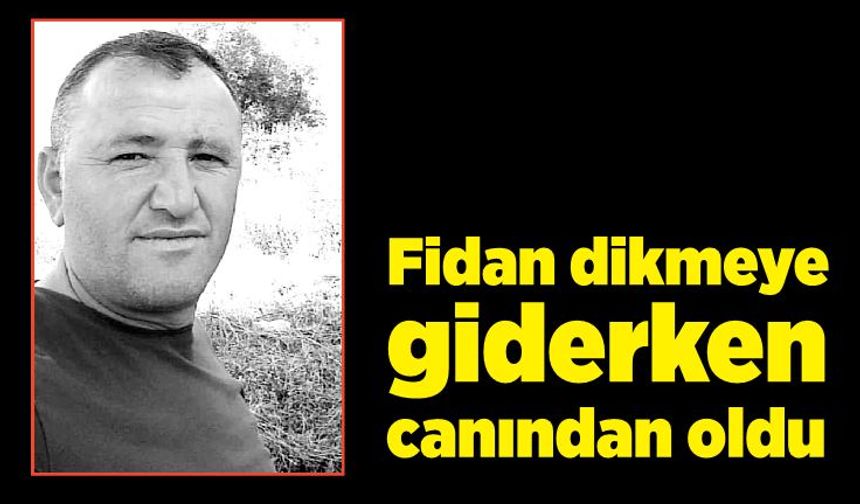 Fidan dikmeye giderken canından oldu