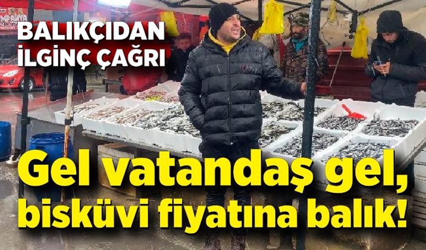 Gel vatandaş gel, bisküvi fiyatına balık!