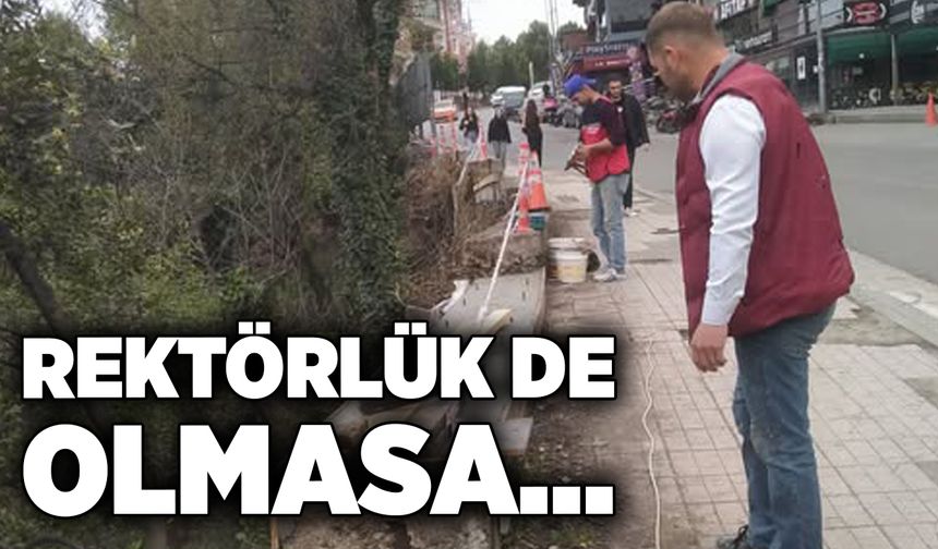 Rektörlük de olmasa…