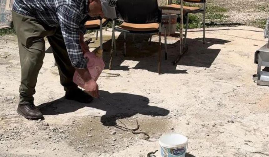 Hakkarili aile iki yıldır yılanlarla yaşıyor