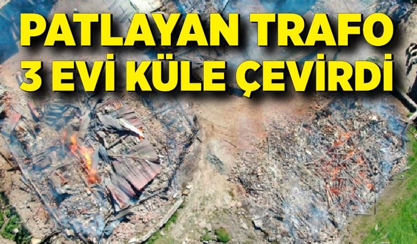 Kastamonu'da elektrik panosu patladı: 3 ev ve 3 ahır küle döndü