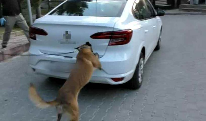 Bolu'da zehir tacirlerine geçit yok: 12 gözaltı