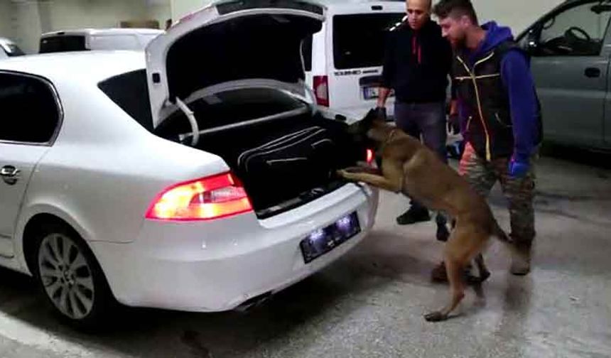 Bolu'da kaçakçılık operasyonunda 4 gözaltı