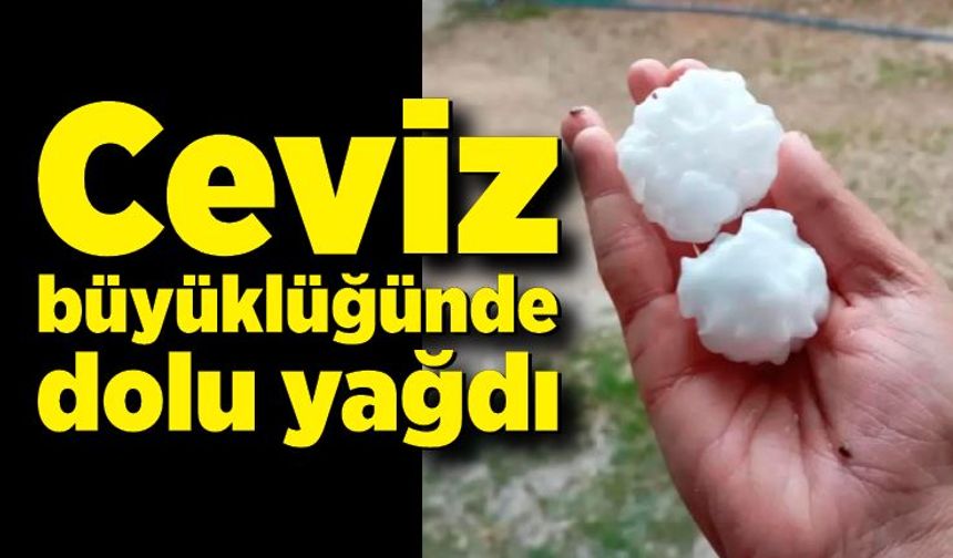 Ceviz büyüklüğünde dolu yağdı; Köylüler şaşkına döndü