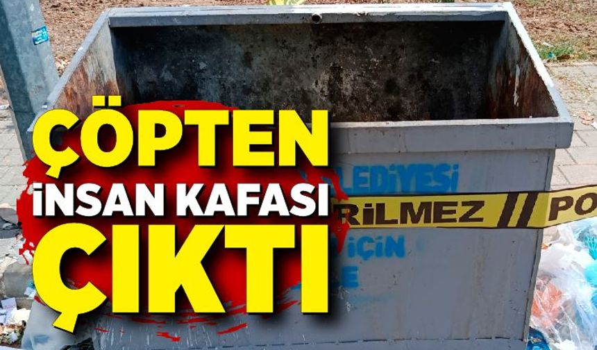 Çöp konteynerinden insan kafatası çıktı