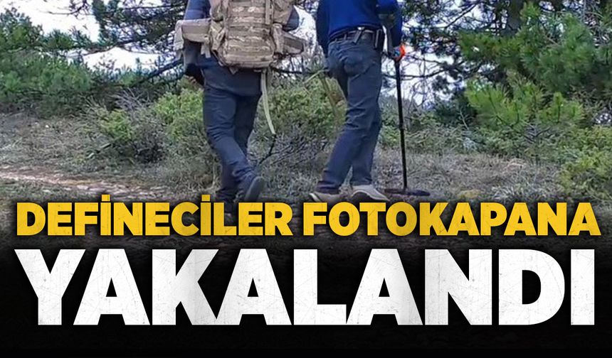 Defineciler fotokapana yakalandı