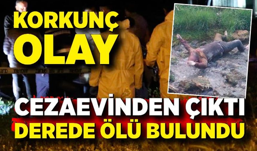 Cezaevi firarisi derede ölü bulundu