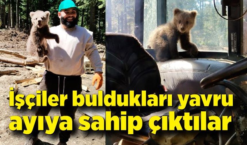 İşçiler buldukları yavru ayıya sahip çıktılar