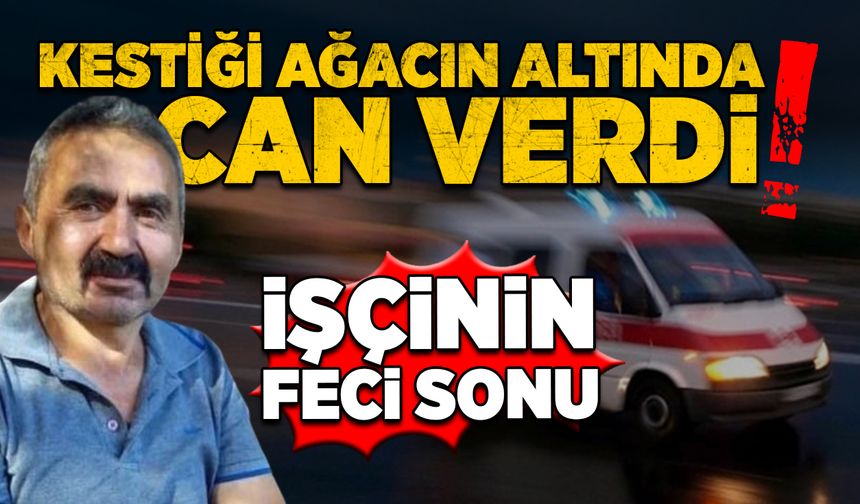 Feci son: Kestiği ağacın altında can verdi