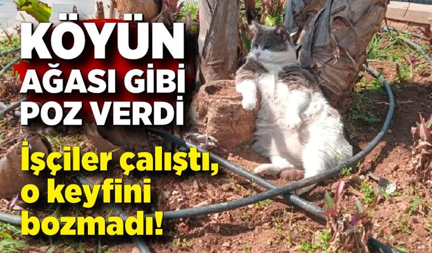 İşçiler çalıştı, o keyfini bozmadı! Köyün ağası gibi poz verdi