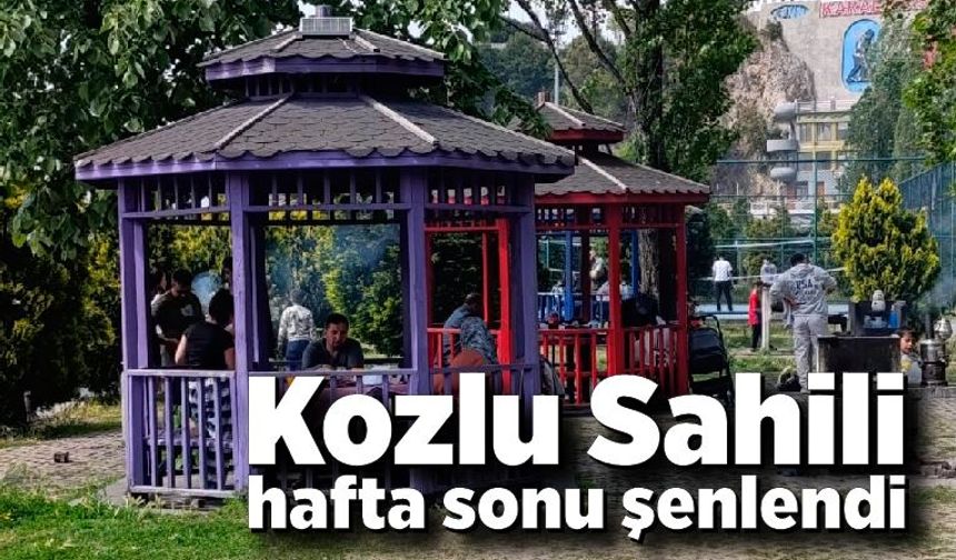 Kozlu Sahili hafta sonu şenlendi: Güneşli havada piknik neşesi