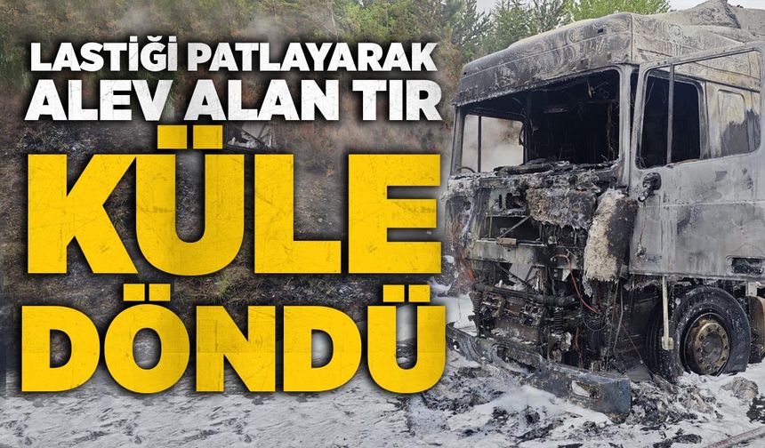 Lastiği patlayarak alev alan tır küle döndü