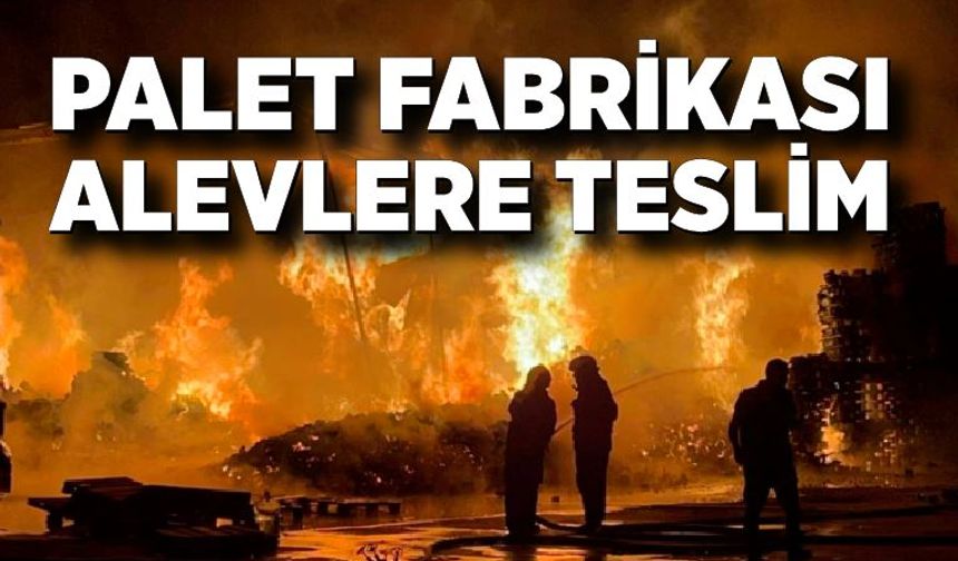 Palet fabrikası alevlere teslim oldu