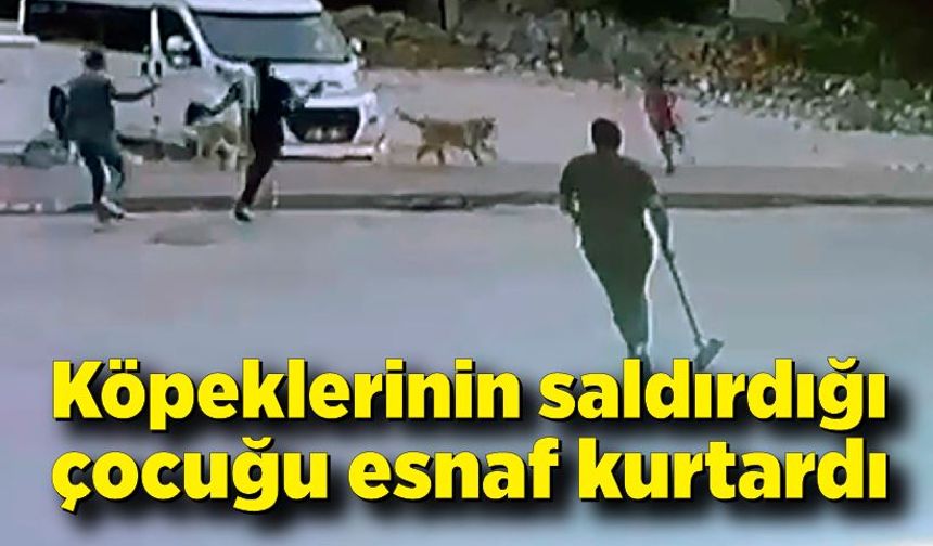 Sokak köpeklerinin saldırdığı çocuğu esnaf kurtardı