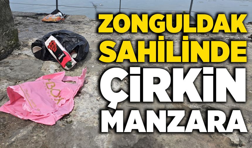 Zonguldak'ta çevreye bırakılan çöpler tepki çekti