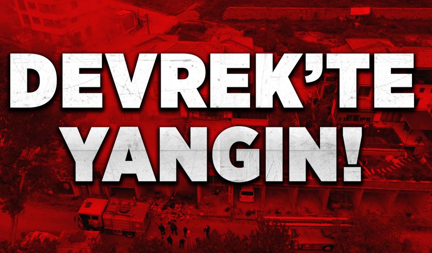 Devrek'te yangın! Alevler içinde kaldı