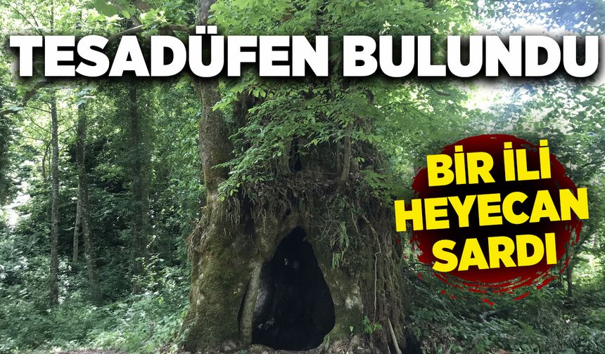 Tesadüfen bulundu, bir ili heyecan sardı
