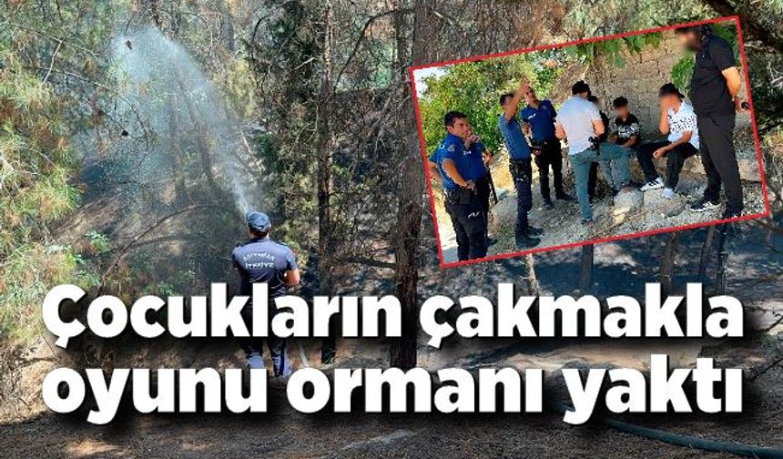 Çocukların çakmakla oyunu ormanı yaktı