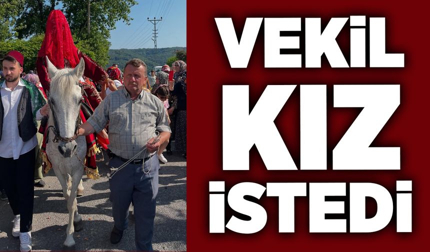 Vekil kız istemeye gitti
