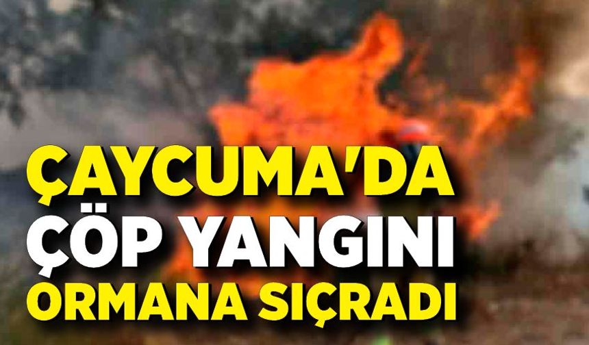 Çaycuma'da çöp yangını ormana sıçradı, 2 dönüm arazi zarar gördü