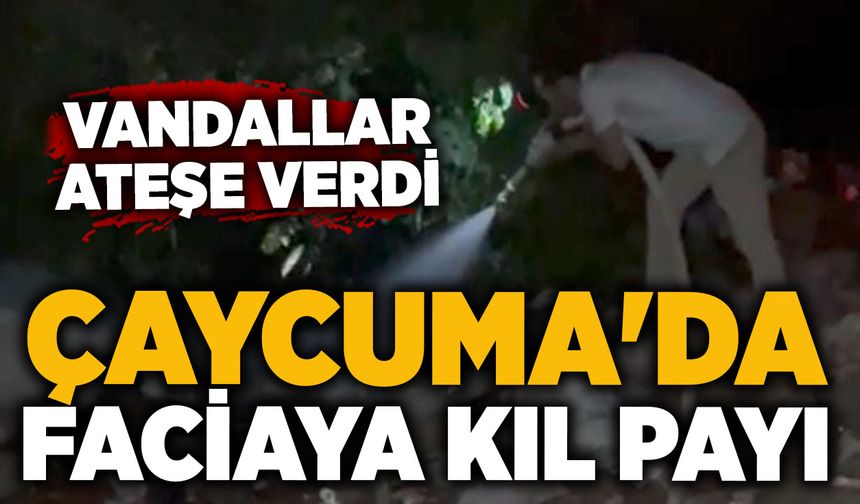 Çaycuma'da faciaya kıl payı: Vandallar ateşe verdi