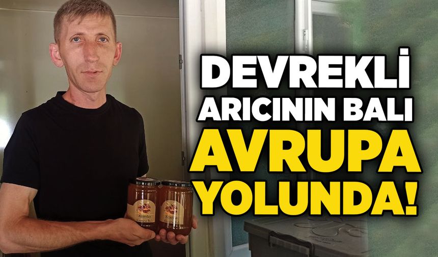 Devrekli arıcının balı Avrupa yolunda!