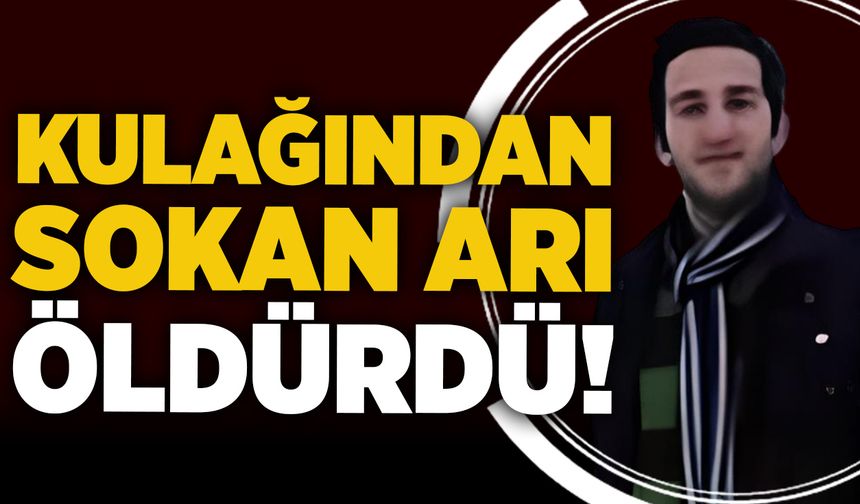Kulağından sokan arı öldürdü!