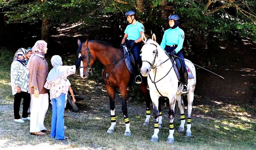 Atlı jandarma timleri Abant'ta görev başında