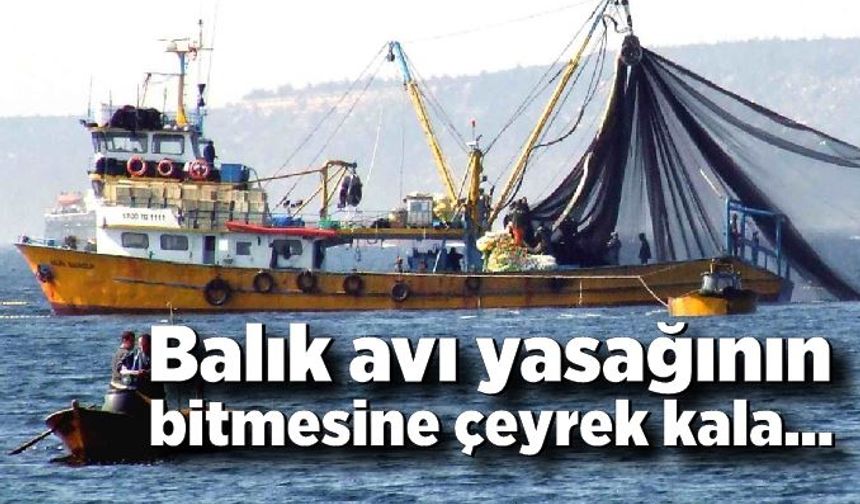 Balık avı yasağının bitmesine çeyrek kala…
