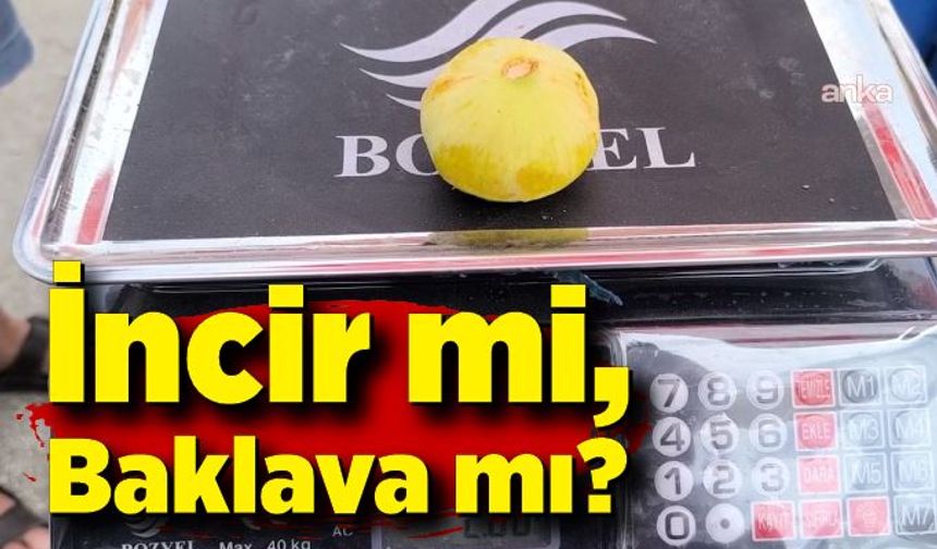 İncir mi, Baklava mı? Tatları değişik ama fiyatları aynı...