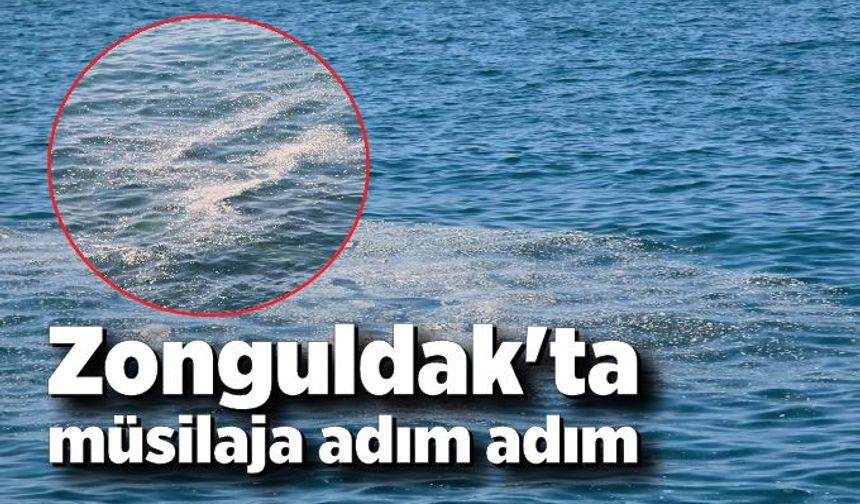 Zonguldak'ta müsilaja adım adım