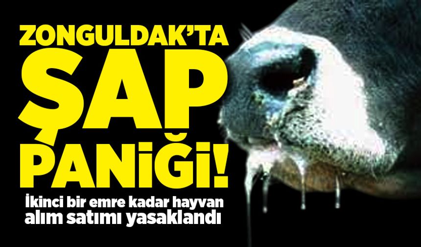 Zonguldak’ta şap paniği! İkinci bir emre kadar hayvan alım satımı yasaklandı