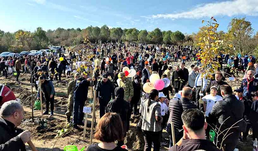 3 bin 500 fidan dikildi