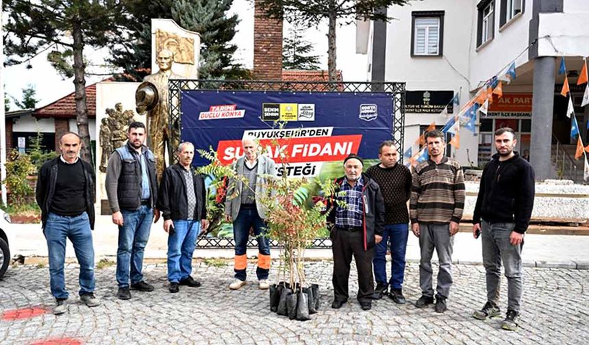 Konya Büyükşehir'den üreticiye sumak fidanı desteği