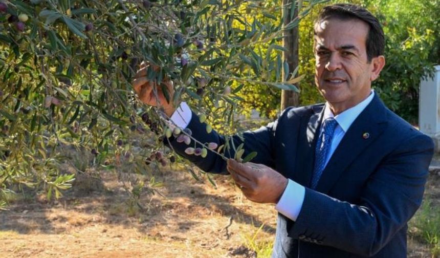 Antalya’nın sıvı altını yarışacak