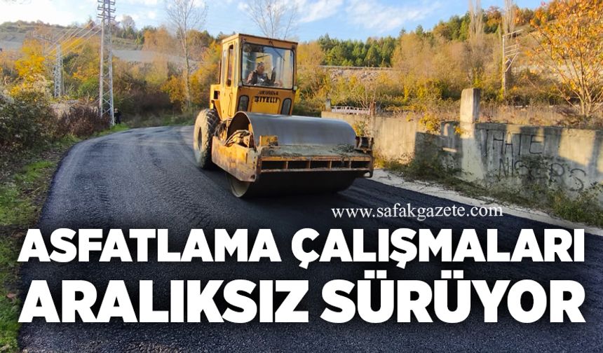 Asfaltlama çalışmaları aralıksız sürüyor