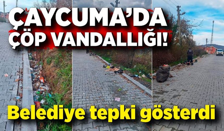 Çaycuma’da çöp vandallığı! Belediye tepki gösterdi