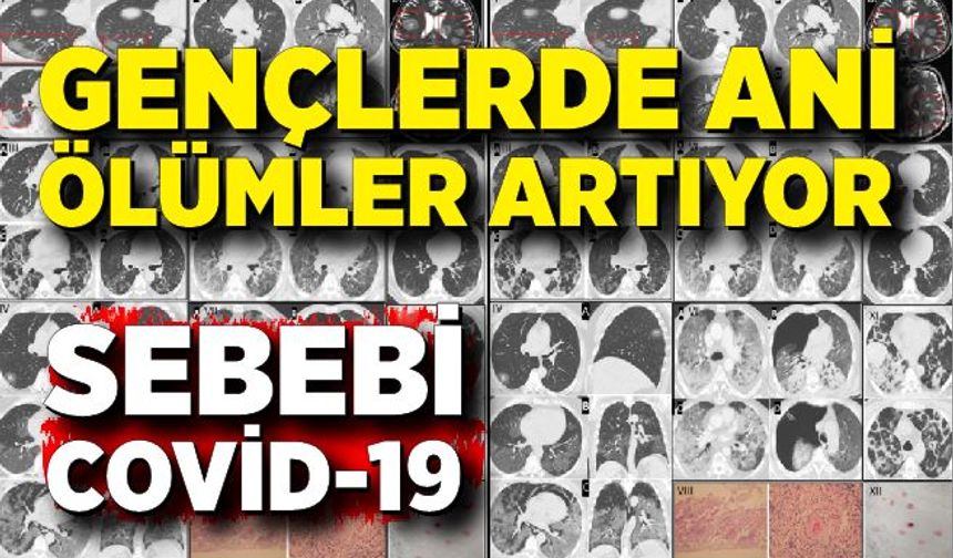Gençlerde Ani Ölümler Artıyor: Uzmanlara Göre Neden Covid-19’un Damar Hasarı